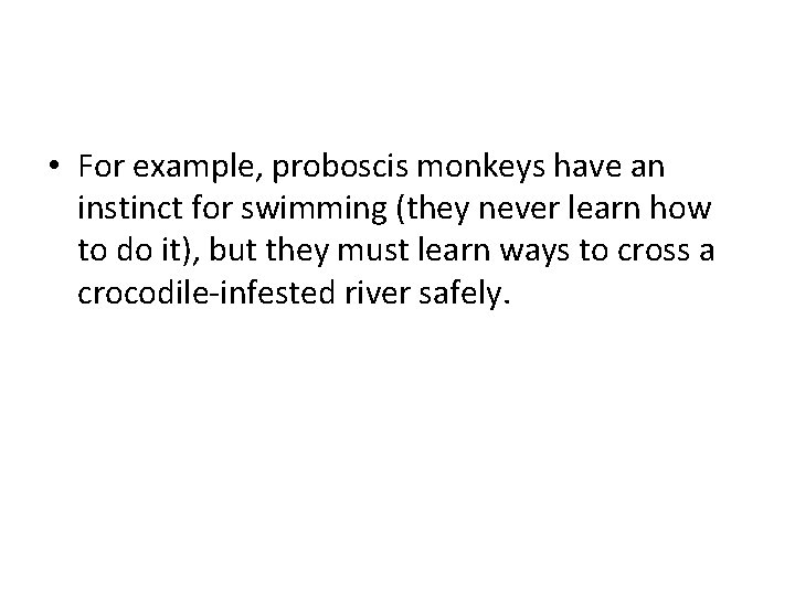  • For example, proboscis monkeys have an instinct for swimming (they never learn