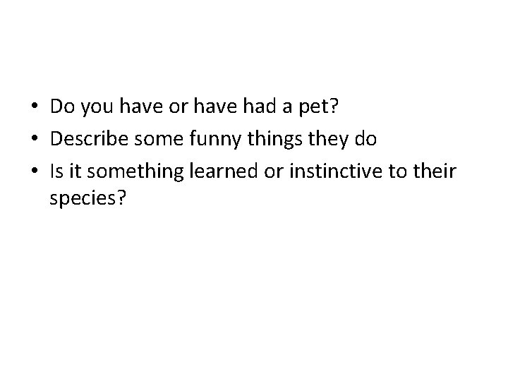  • Do you have or have had a pet? • Describe some funny