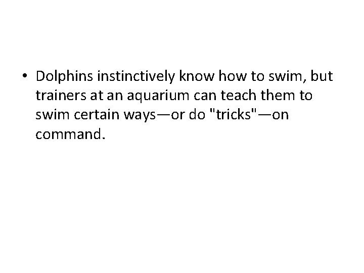  • Dolphins instinctively know how to swim, but trainers at an aquarium can