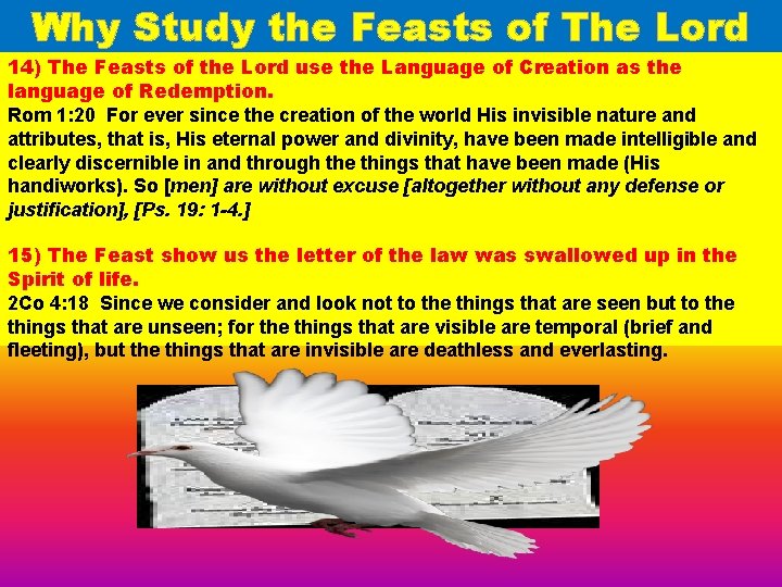 Why Study the Feasts of The Lord 14) The Feasts of the Lord use