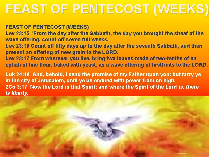 FEAST OF PENTECOST (WEEKS) Lev 23: 15 'From the day after the Sabbath, the