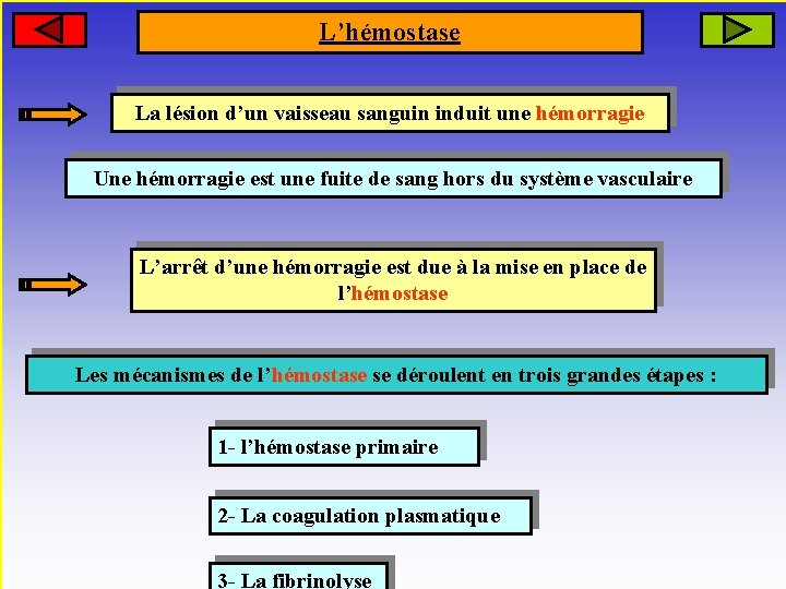 L’hémostase La lésion d’un vaisseau sanguin induit une hémorragie Une hémorragie est une fuite