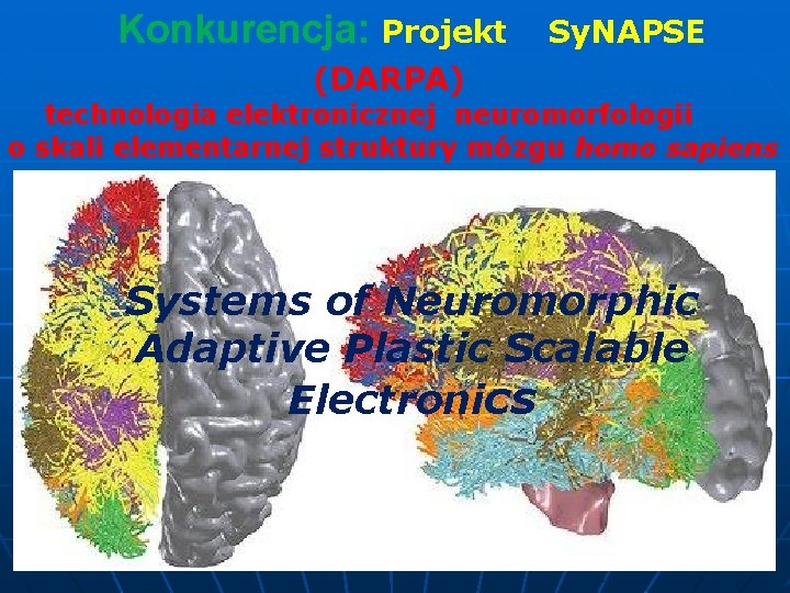 Konkurencja: Projekt Sy. NAPSE (DARPA) technologia elektronicznej neuromorfologii o skali elementarnej struktury mózgu homo