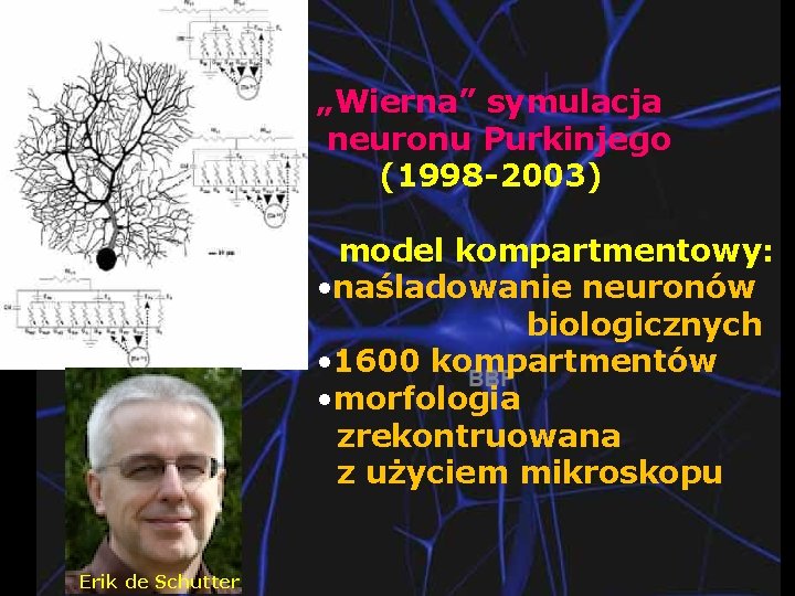 „Wierna” symulacja neuronu Purkinjego (1998 -2003) model kompartmentowy: • naśladowanie neuronów biologicznych • 1600