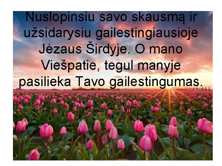 Nuslopinsiu savo skausmą ir užsidarysiu gailestingiausioje Jėzaus Širdyje. O mano Viešpatie, tegul manyje pasilieka