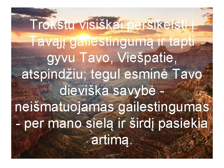 Trokštu visiškai persikeisti į Tavąjį gailestingumą ir tapti gyvu Tavo, Viešpatie, atspindžiu; tegul esminė