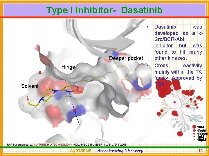 Type I Inhibitor- Dasatinib • Deeper pocket Hinge Solvent • Dasatinib was developed as