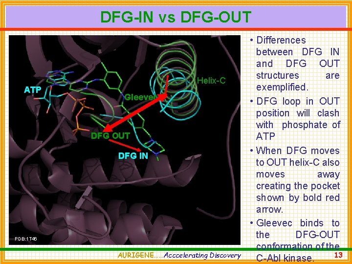 DFG-IN vs DFG-OUT ATP Helix-C Gleevec DFG OUT DFG IN PDB: 1 T 46