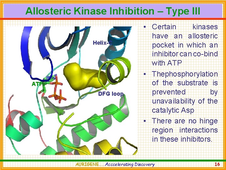 Allosteric Kinase Inhibition – Type III Helix-C ATP DFG loop • Certain kinases have