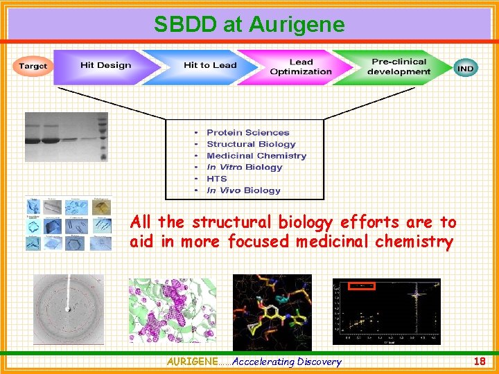 SBDD at Aurigene All the structural biology efforts are to aid in more focused