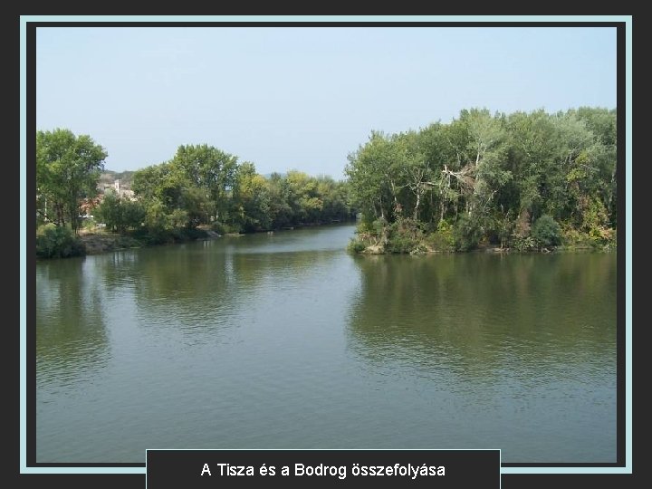 A Tisza és a Bodrog összefolyása 