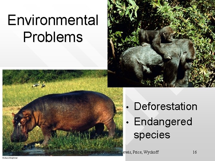 Environmental Problems • • Deforestation Endangered species Globalization & Diversity: Rowntree, Lewis, Price, Wyckoff