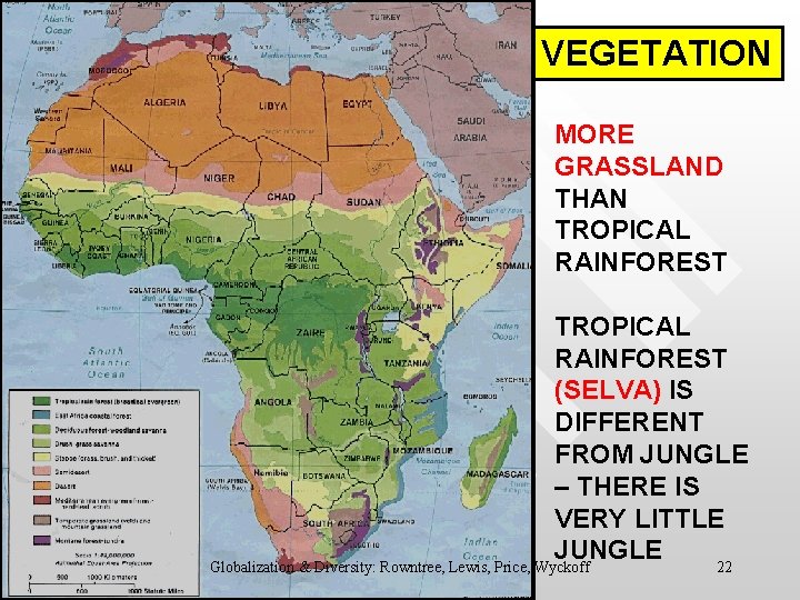 VEGETATION MORE GRASSLAND THAN TROPICAL RAINFOREST (SELVA) IS DIFFERENT FROM JUNGLE – THERE IS