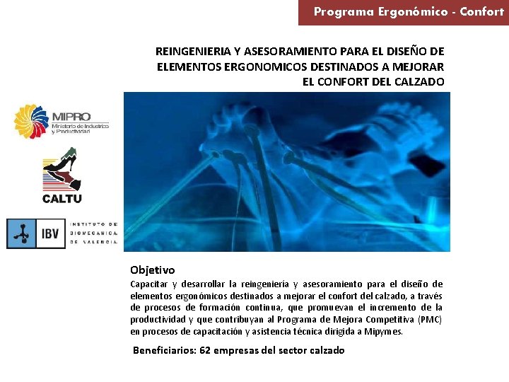 Programa Ergonómico - Confort REINGENIERIA Y ASESORAMIENTO PARA EL DISEÑO DE ELEMENTOS ERGONOMICOS DESTINADOS