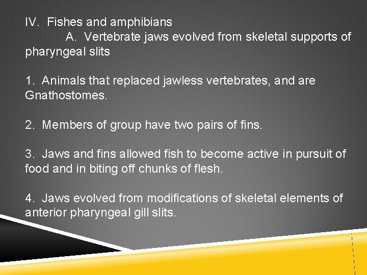 IV. Fishes and amphibians A. Vertebrate jaws evolved from skeletal supports of pharyngeal slits