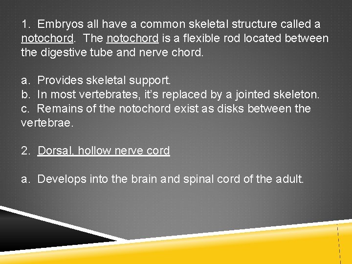 1. Embryos all have a common skeletal structure called a notochord. The notochord is