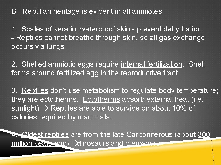 B. Reptilian heritage is evident in all amniotes 1. Scales of keratin, waterproof skin