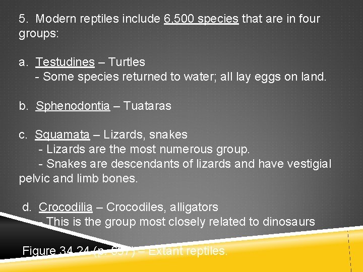 5. Modern reptiles include 6, 500 species that are in four groups: a. Testudines