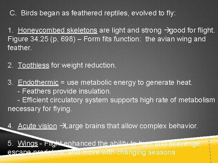  C. Birds began as feathered reptiles, evolved to fly: 1. Honeycombed skeletons are