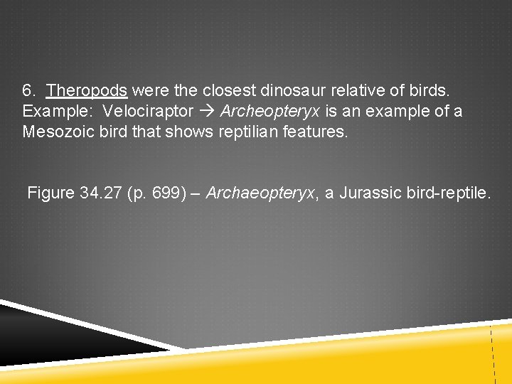 6. Theropods were the closest dinosaur relative of birds. Example: Velociraptor Archeopteryx is an