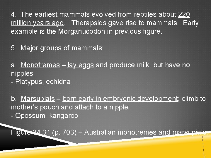 4. The earliest mammals evolved from reptiles about 220 million years ago. Therapsids gave