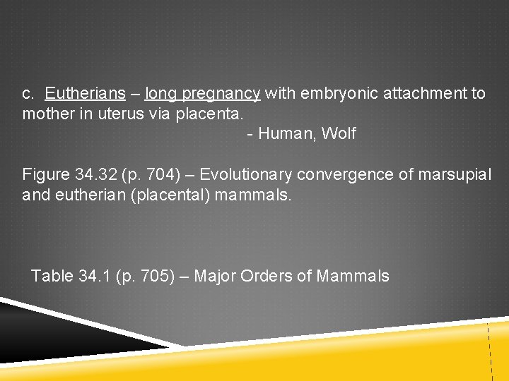  c. Eutherians – long pregnancy with embryonic attachment to mother in uterus via
