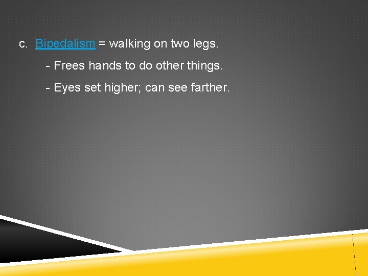 c. Bipedalism = walking on two legs. - Frees hands to do other things.