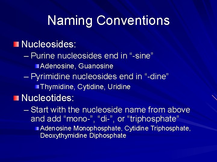 Naming Conventions Nucleosides: – Purine nucleosides end in “-sine” Adenosine, Guanosine – Pyrimidine nucleosides