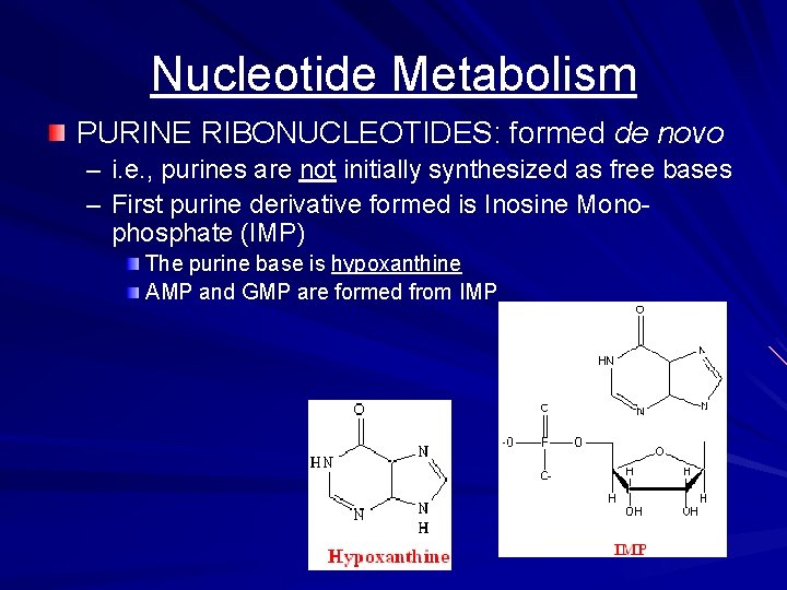 Nucleotide Metabolism PURINE RIBONUCLEOTIDES: formed de novo – i. e. , purines are not