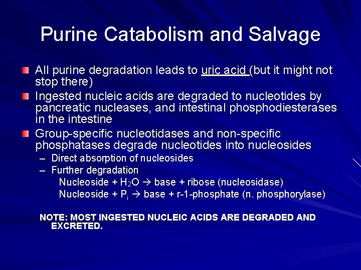Purine Catabolism and Salvage All purine degradation leads to uric acid (but it might