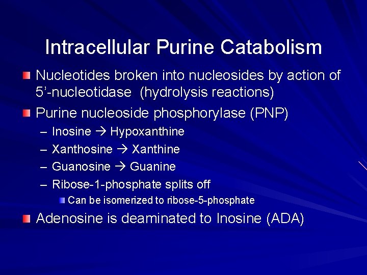 Intracellular Purine Catabolism Nucleotides broken into nucleosides by action of 5’-nucleotidase (hydrolysis reactions) Purine