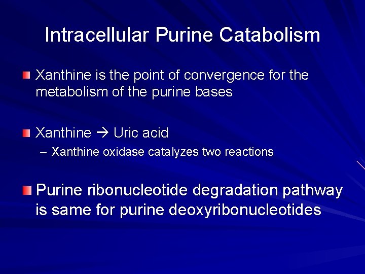 Intracellular Purine Catabolism Xanthine is the point of convergence for the metabolism of the