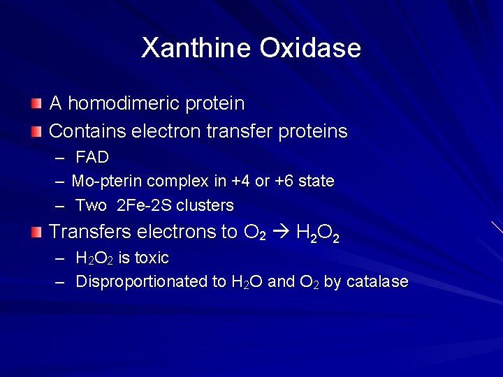 Xanthine Oxidase A homodimeric protein Contains electron transfer proteins – – – FAD Mo-pterin