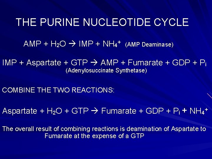 THE PURINE NUCLEOTIDE CYCLE AMP + H 2 O IMP + NH 4+ (AMP