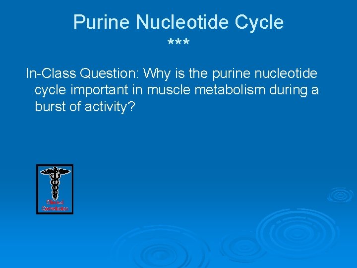 Purine Nucleotide Cycle *** In-Class Question: Why is the purine nucleotide cycle important in