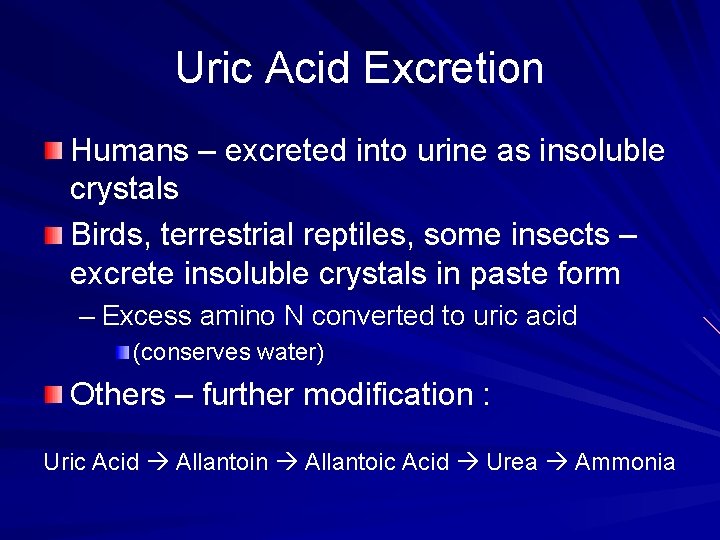 Uric Acid Excretion Humans – excreted into urine as insoluble crystals Birds, terrestrial reptiles,