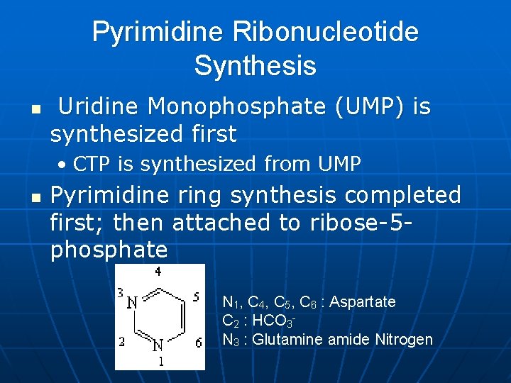 Pyrimidine Ribonucleotide Synthesis n Uridine Monophosphate (UMP) is synthesized first • CTP is synthesized