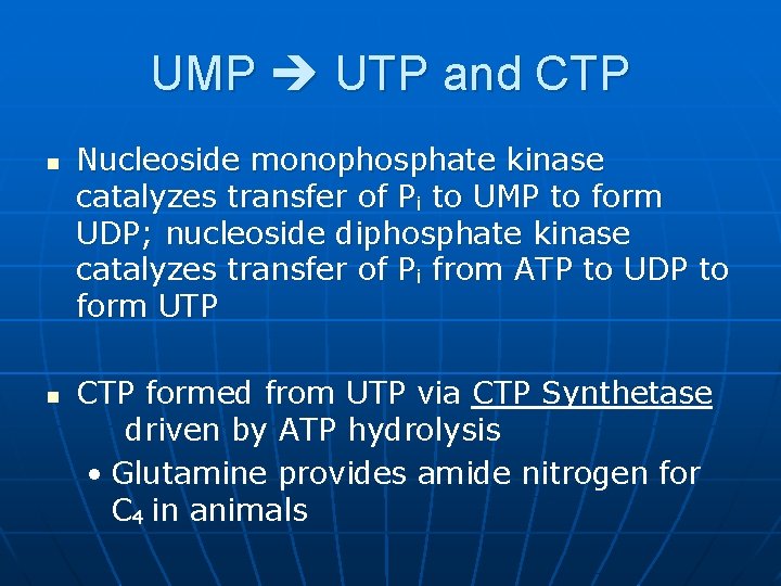 UMP UTP and CTP n n Nucleoside monophosphate kinase catalyzes transfer of Pi to