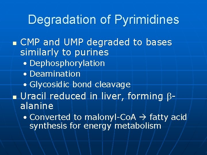 Degradation of Pyrimidines n CMP and UMP degraded to bases similarly to purines •