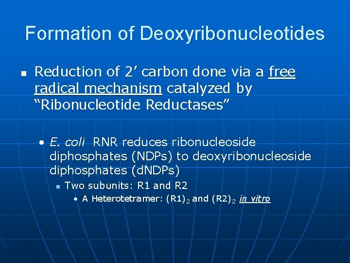 Formation of Deoxyribonucleotides n Reduction of 2’ carbon done via a free radical mechanism