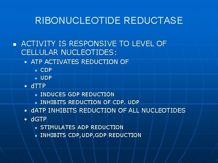 RIBONUCLEOTIDE REDUCTASE n ACTIVITY IS RESPONSIVE TO LEVEL OF CELLULAR NUCLEOTIDES: • ATP ACTIVATES