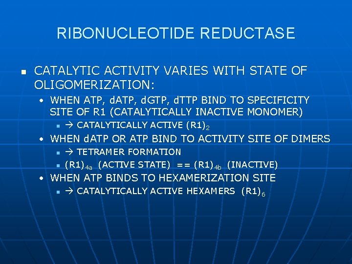 RIBONUCLEOTIDE REDUCTASE n CATALYTIC ACTIVITY VARIES WITH STATE OF OLIGOMERIZATION: • WHEN ATP, d.
