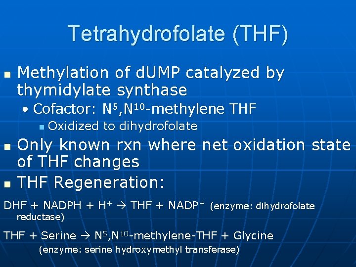 Tetrahydrofolate (THF) n Methylation of d. UMP catalyzed by thymidylate synthase • Cofactor: N