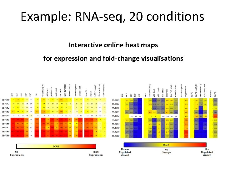 Example: RNA-seq, 20 conditions Interactive online heat maps for expression and fold-change visualisations 