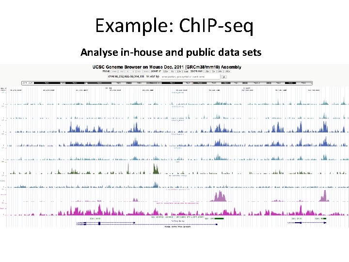 Example: Ch. IP-seq Analyse in-house and public data sets 