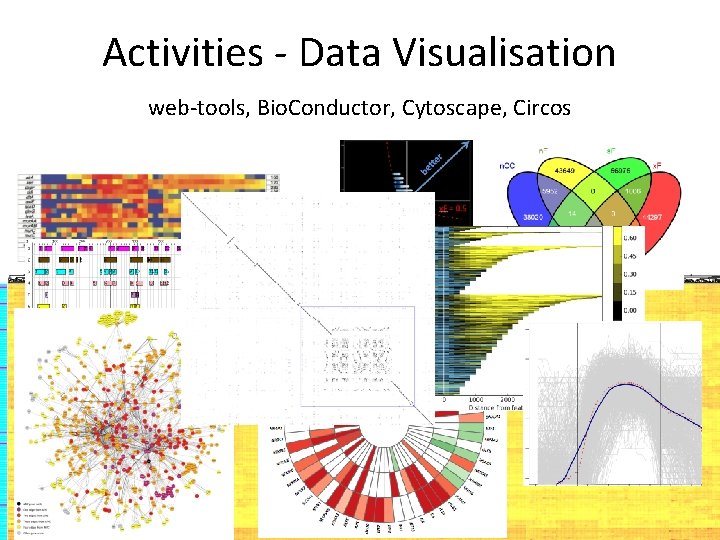 Activities - Data Visualisation web-tools, Bio. Conductor, Cytoscape, Circos 