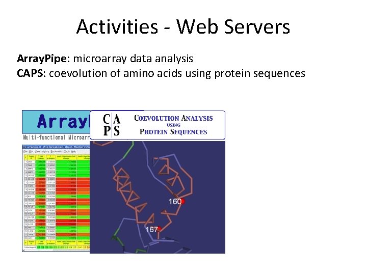 Activities - Web Servers Array. Pipe: microarray data analysis CAPS: coevolution of amino acids