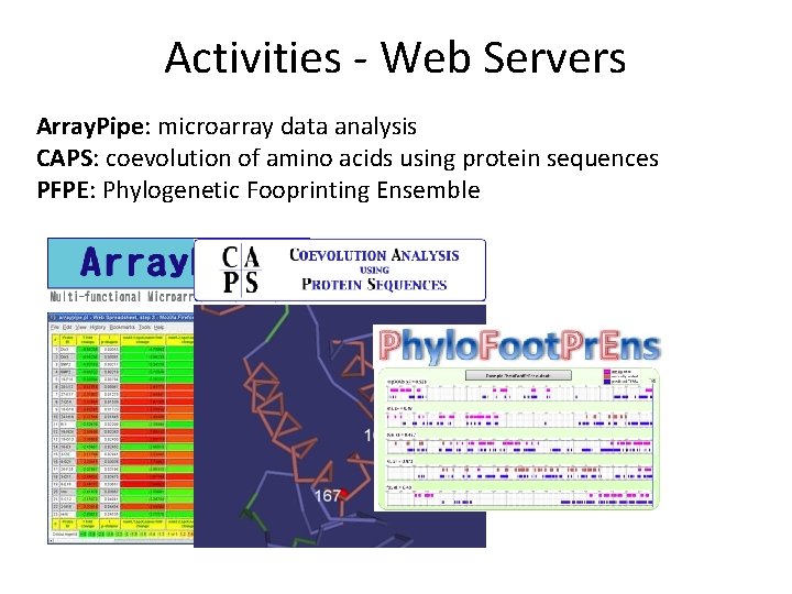 Activities - Web Servers Array. Pipe: microarray data analysis CAPS: coevolution of amino acids