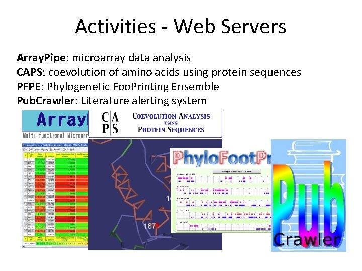 Activities - Web Servers Array. Pipe: microarray data analysis CAPS: coevolution of amino acids