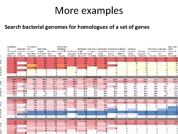 More examples Search bacterial genomes for homologues of a set of genes 